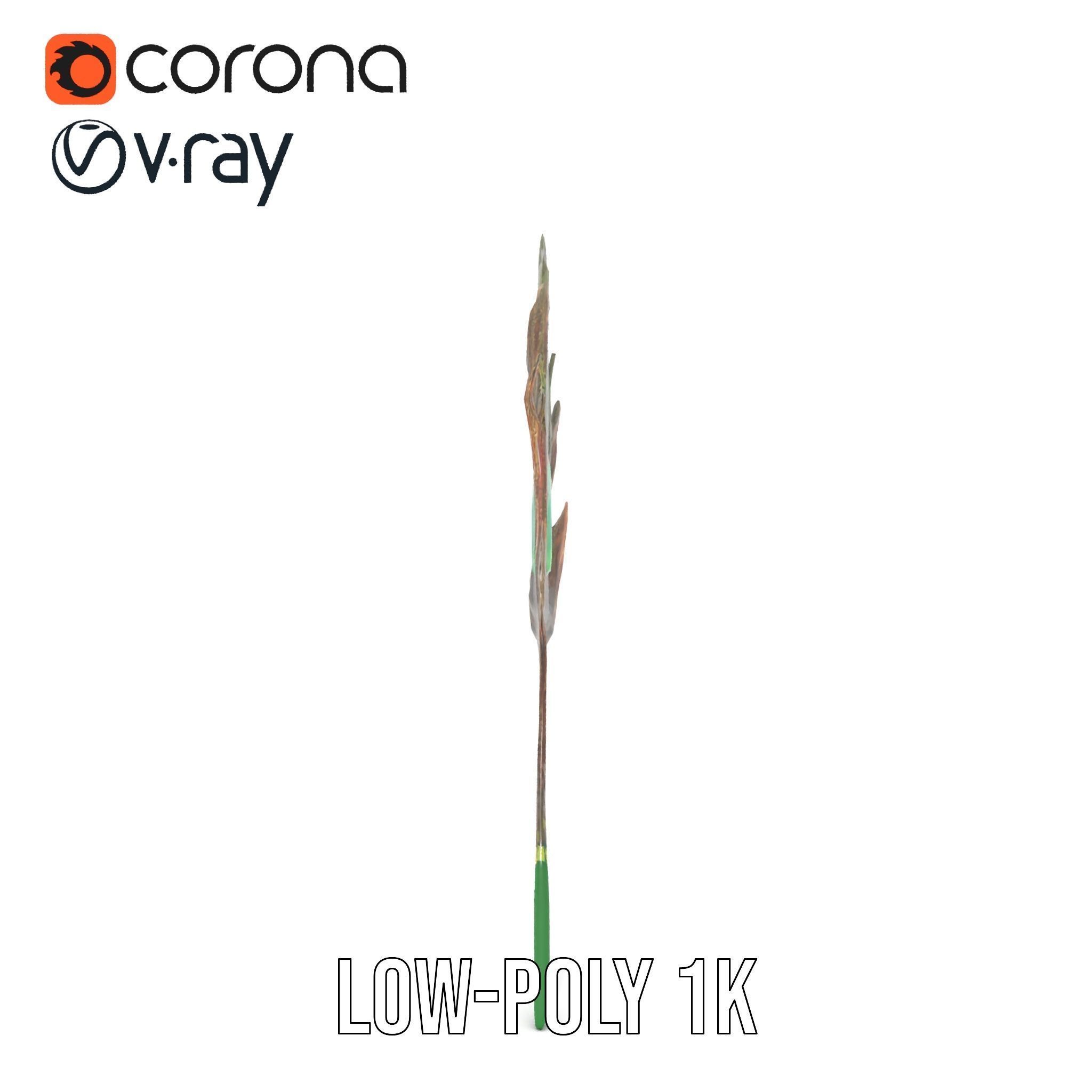 Peacock Feather Detailed Model Pack for Realistic Simulations Low-poly 3D model_17