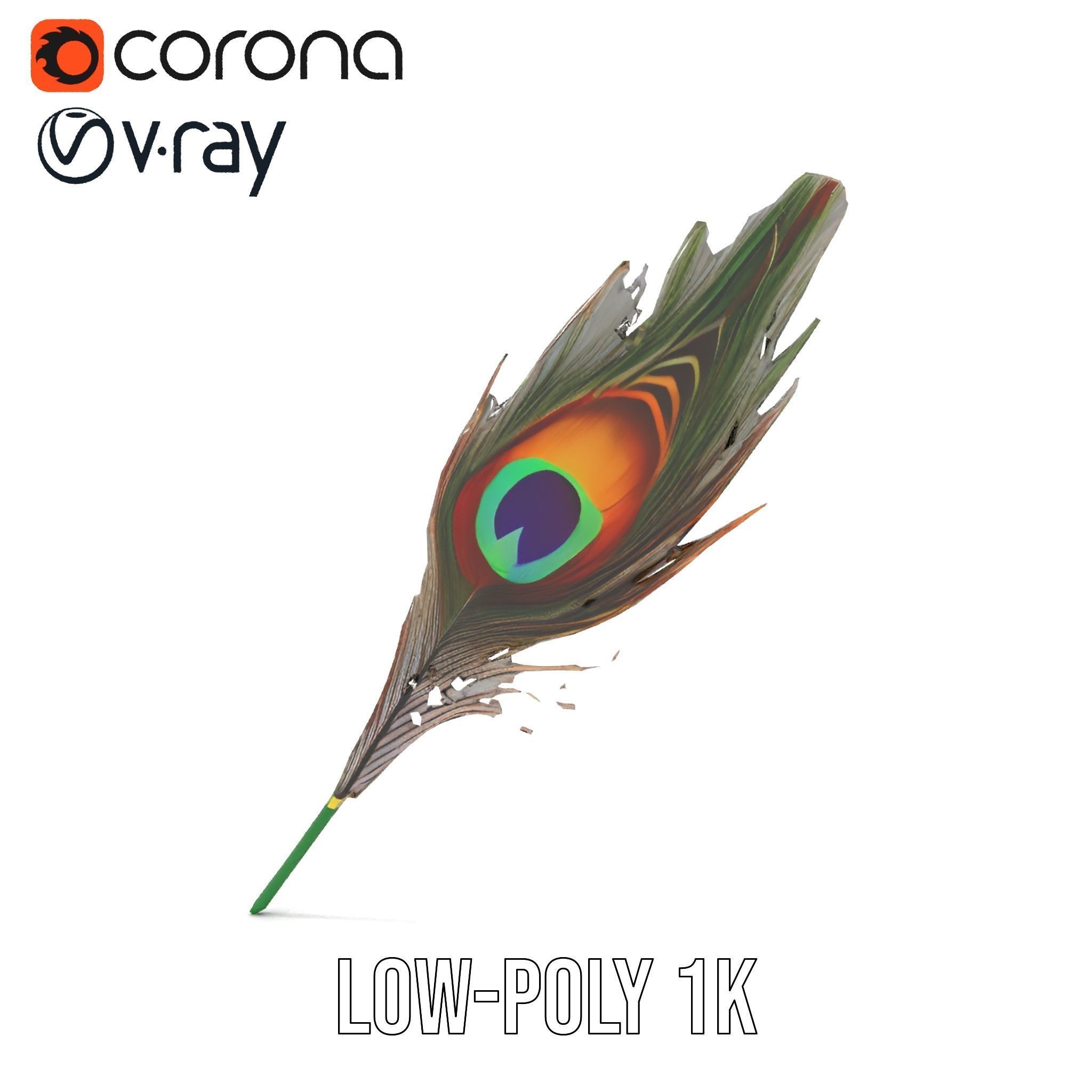 Peacock Feather Detailed Model Pack for Realistic Simulations Low-poly 3D model_19