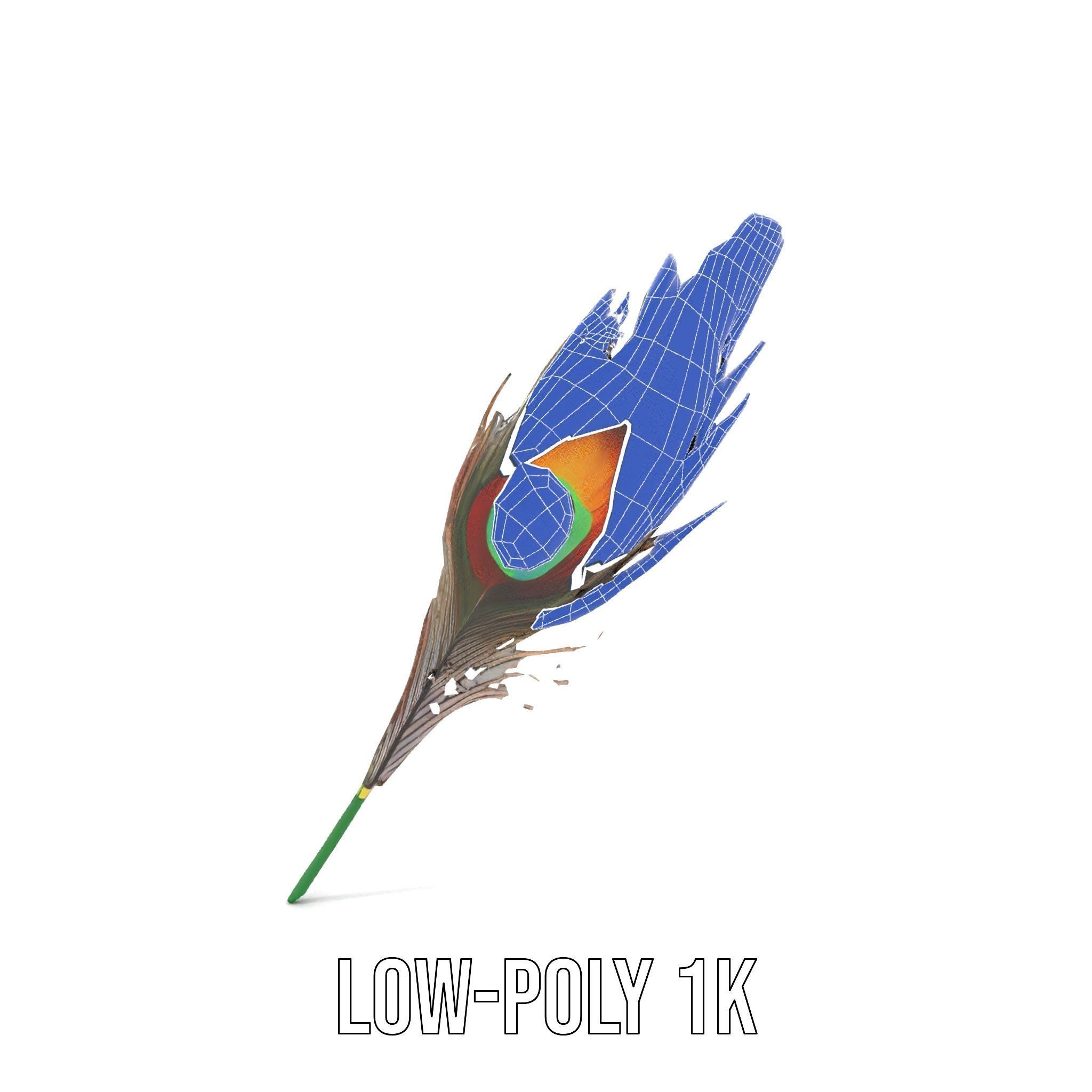 Peacock Feather Detailed Model Pack for Realistic Simulations Low-poly 3D model_12