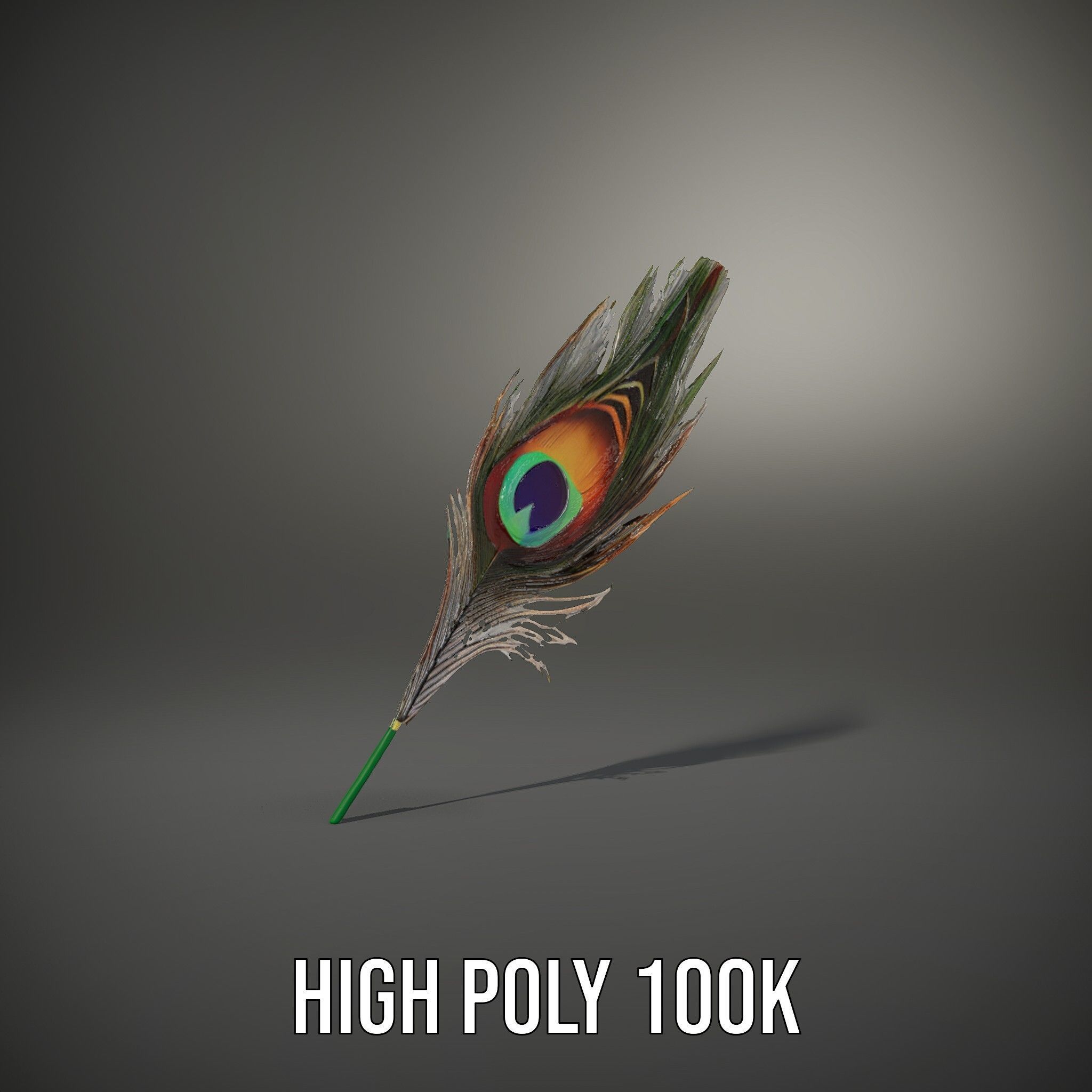 Peacock Feather Detailed Model Pack for Realistic Simulations Low-poly 3D model_10