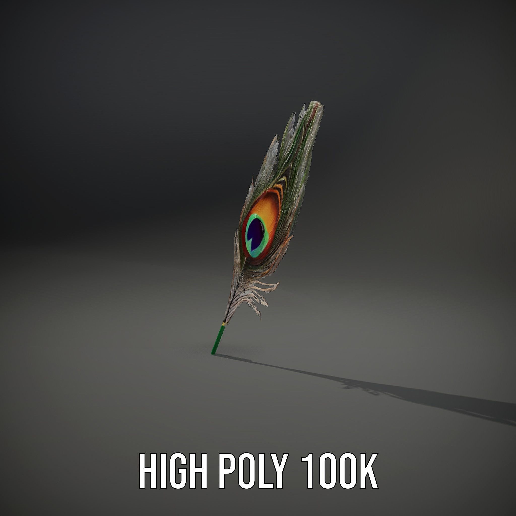 Peacock Feather Detailed Model Pack for Realistic Simulations Low-poly 3D model_8