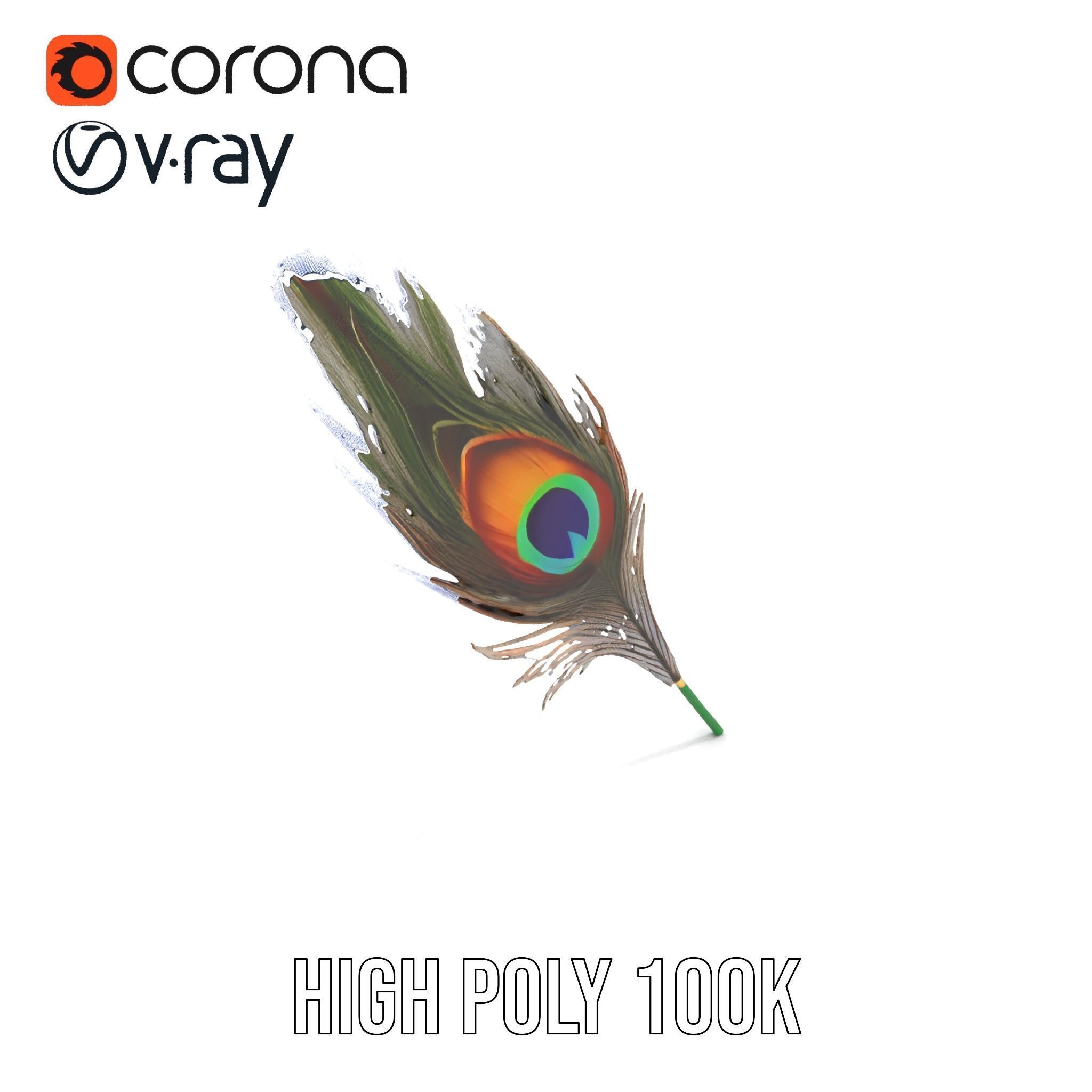 Peacock Feather Detailed Model Pack for Realistic Simulations Low-poly 3D model_28