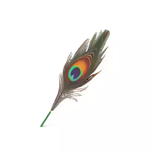 Peacock Feather Detailed Model Pack for Realistic Simulations