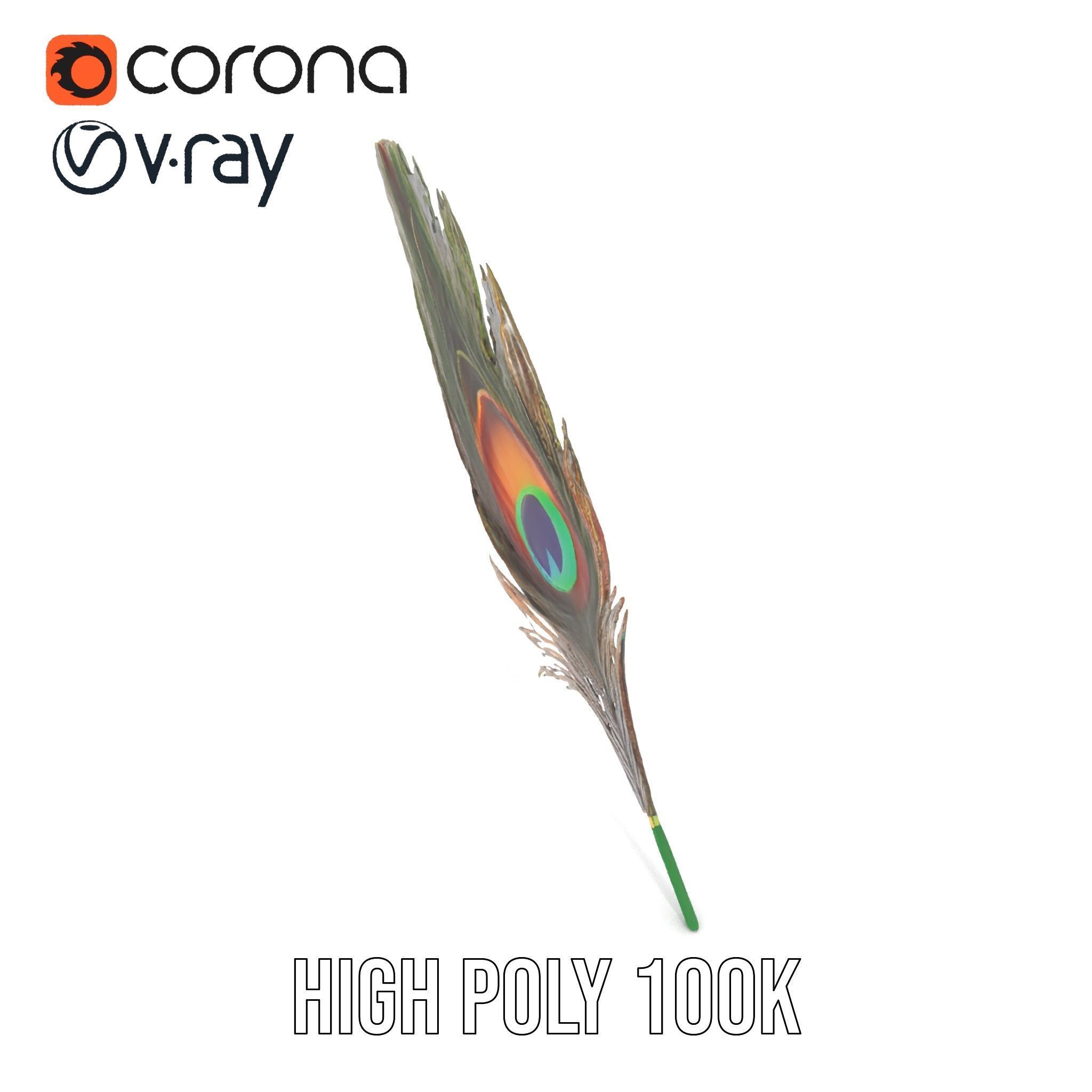 Peacock Feather Detailed Model Pack for Realistic Simulations Low-poly 3D model_22