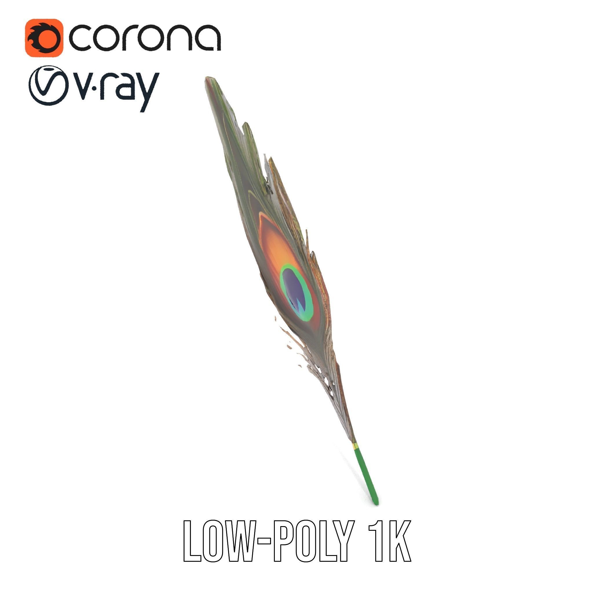 Peacock Feather Detailed Model Pack for Realistic Simulations Low-poly 3D model_7