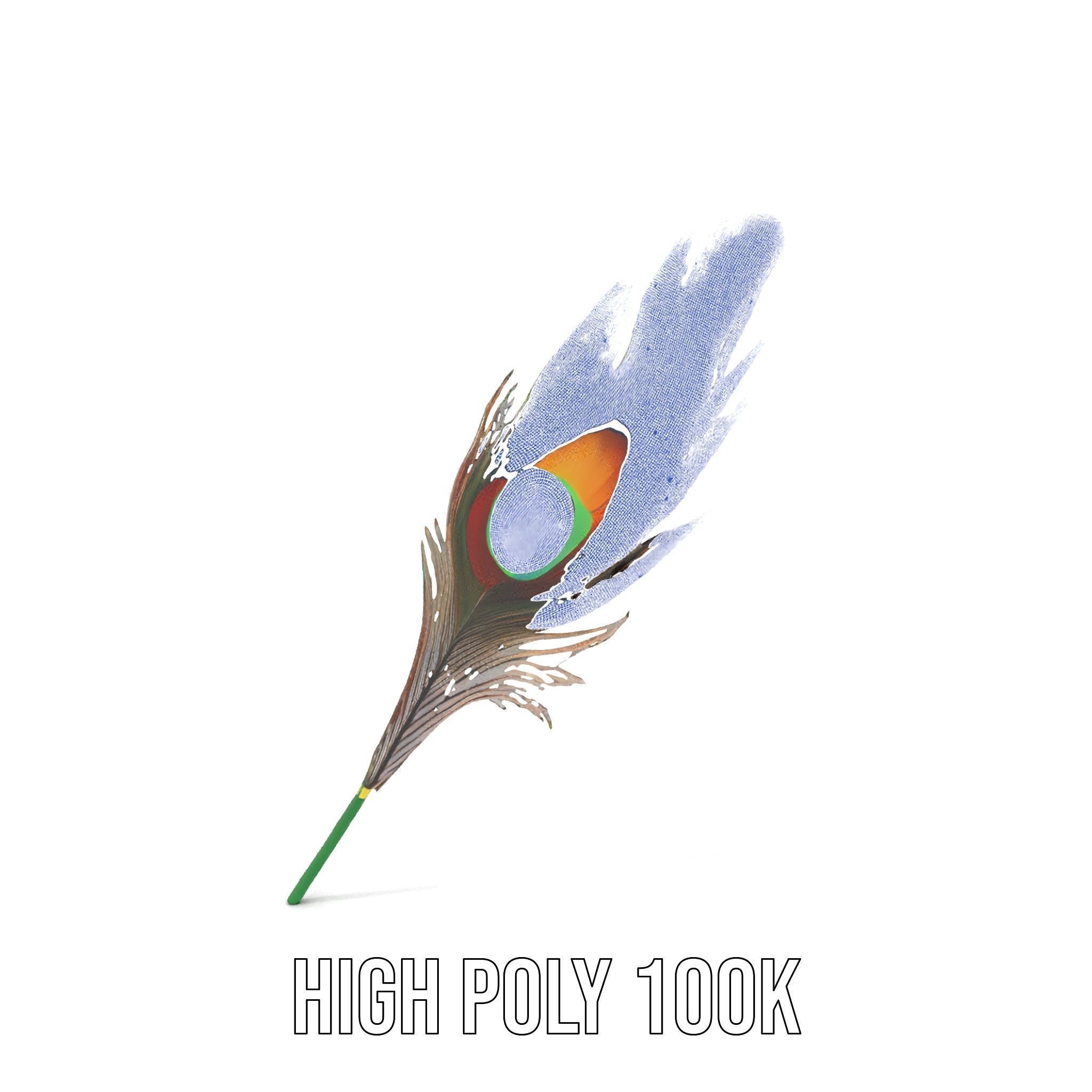 Peacock Feather Detailed Model Pack for Realistic Simulations Low-poly 3D model_4