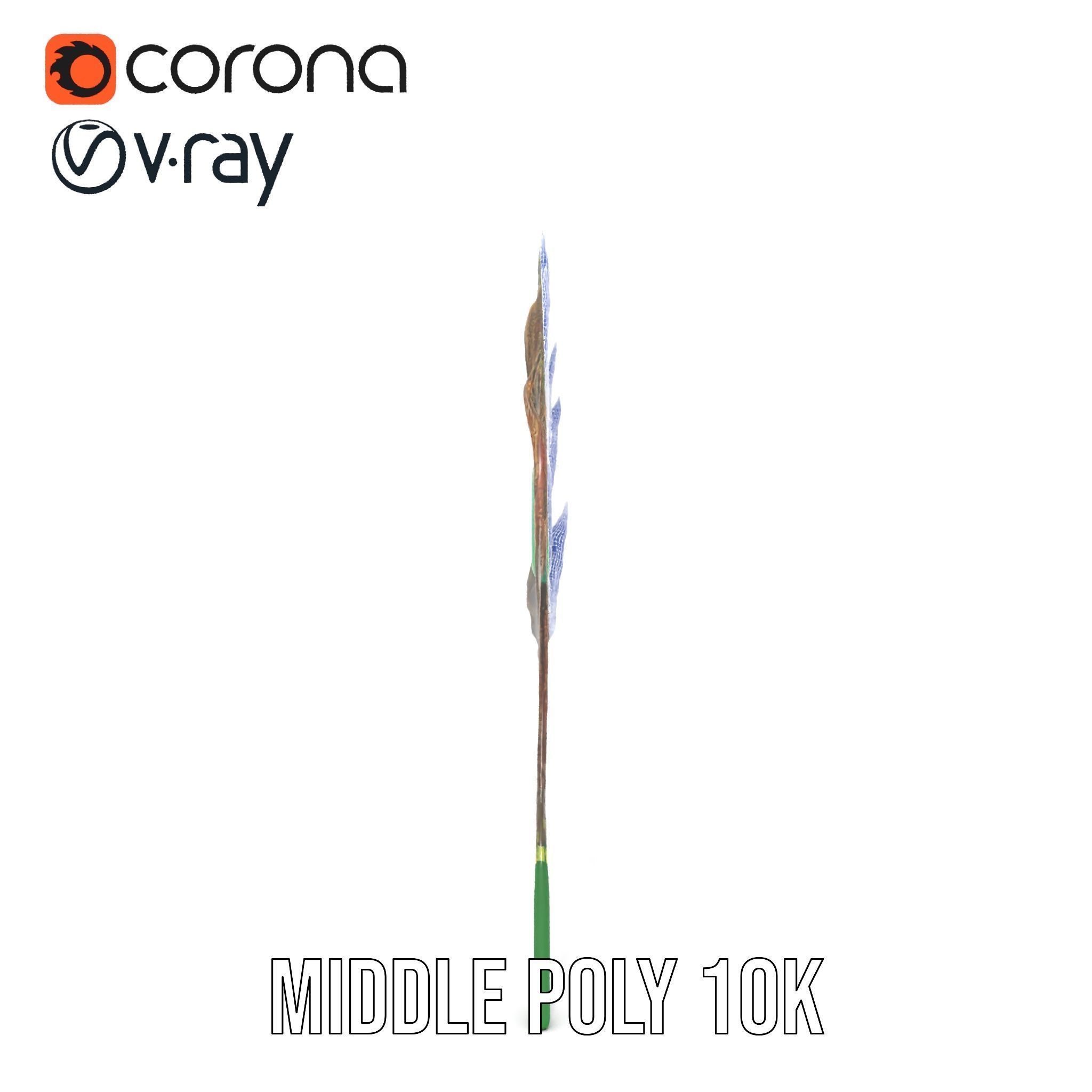 Peacock Feather Detailed Model Pack for Realistic Simulations Low-poly 3D model_18