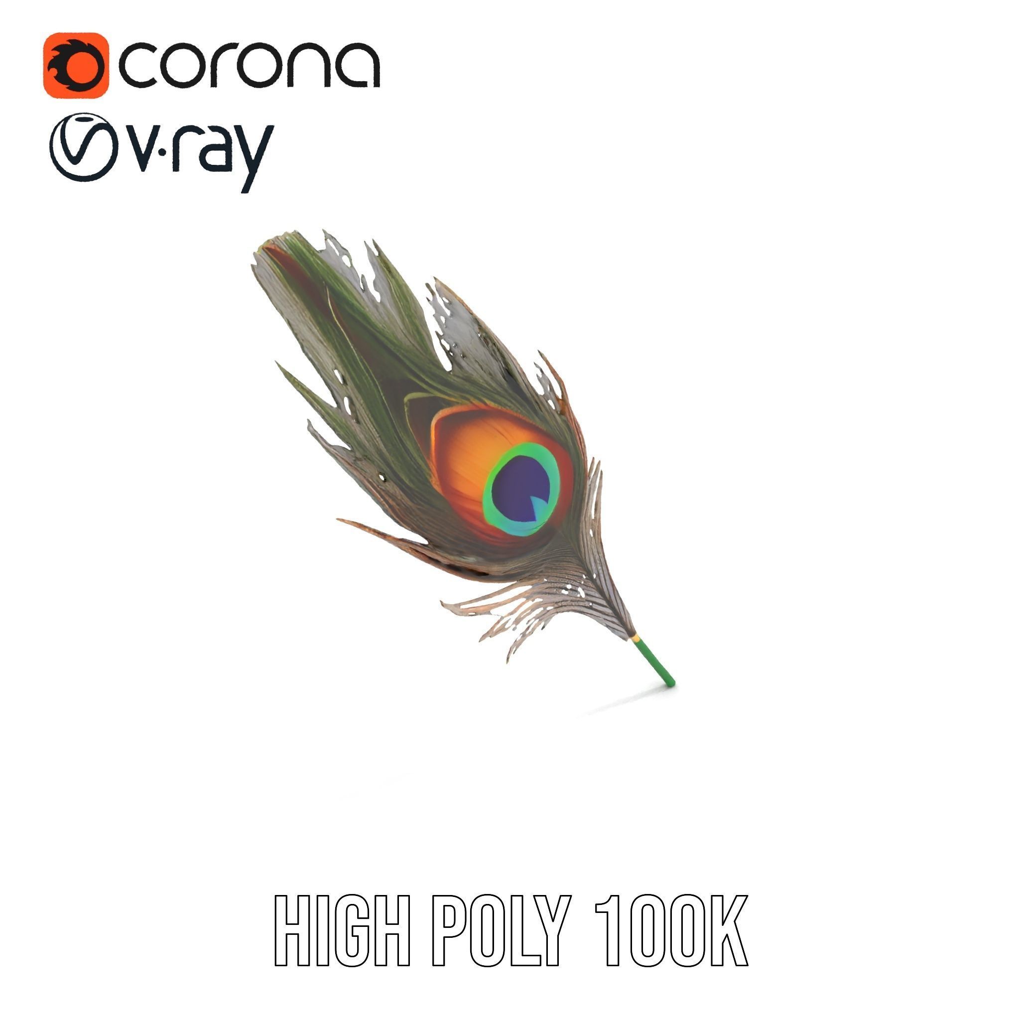 Peacock Feather Detailed Model Pack for Realistic Simulations Low-poly 3D model_15