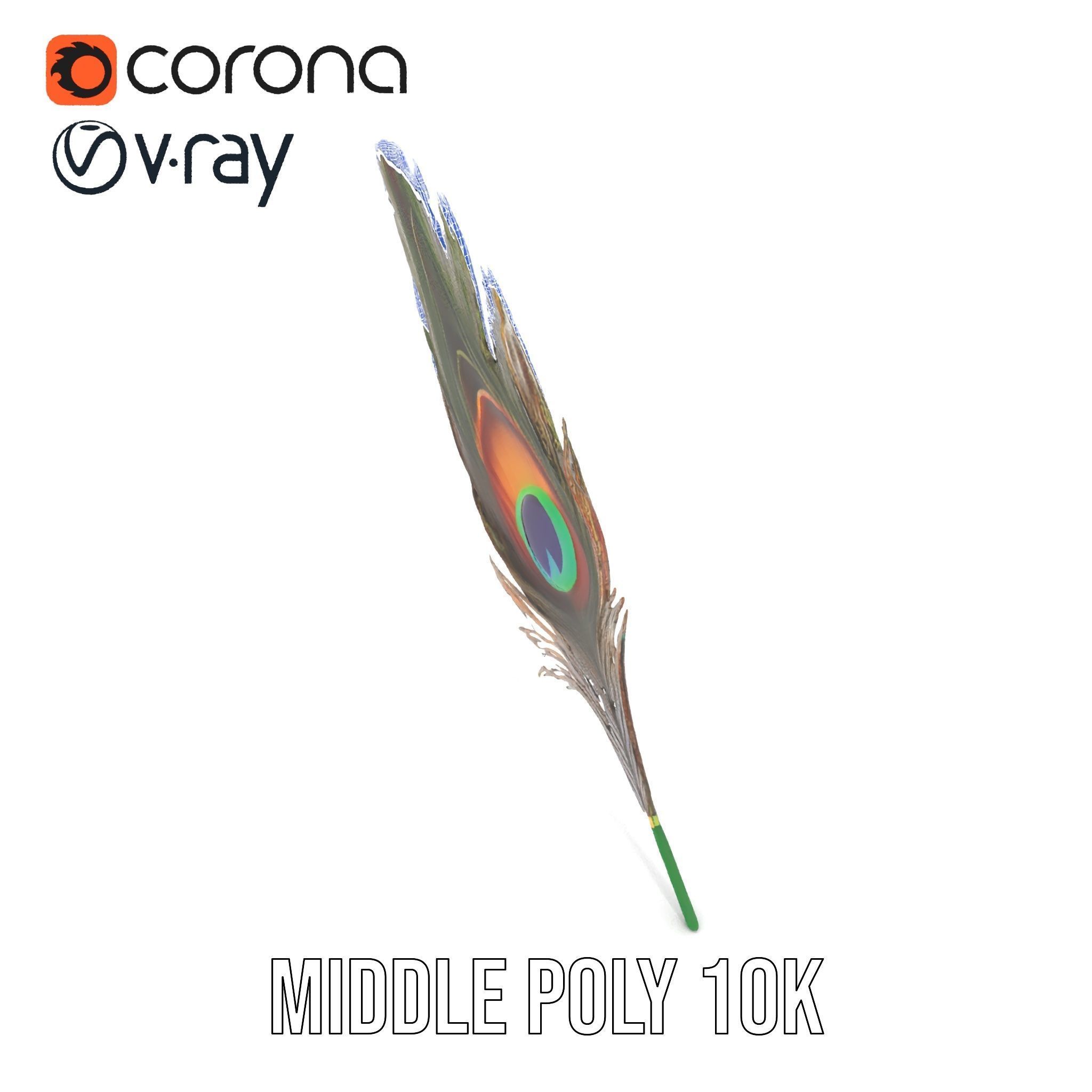 Peacock Feather Detailed Model Pack for Realistic Simulations Low-poly 3D model_20