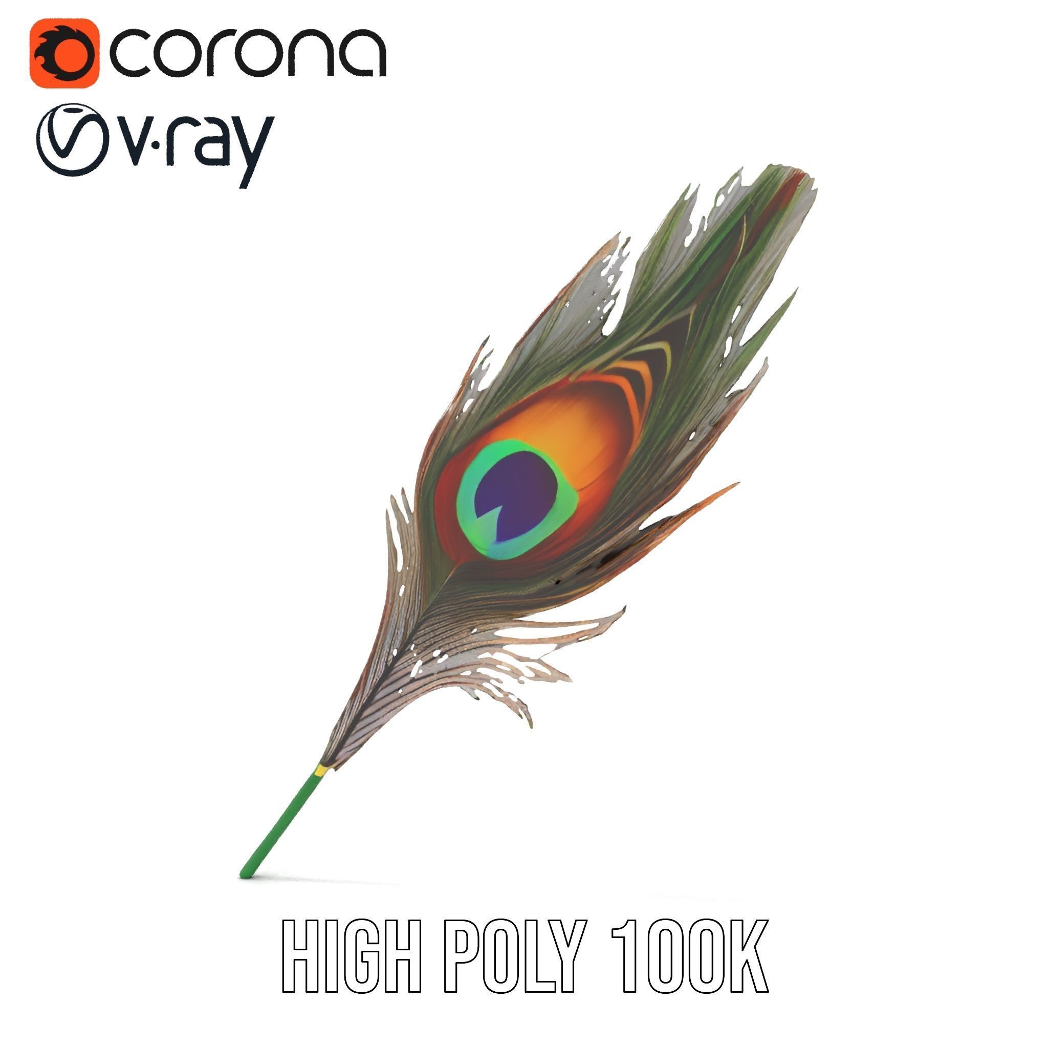 Peacock Feather Detailed Model Pack for Realistic Simulations Low-poly 3D model_32