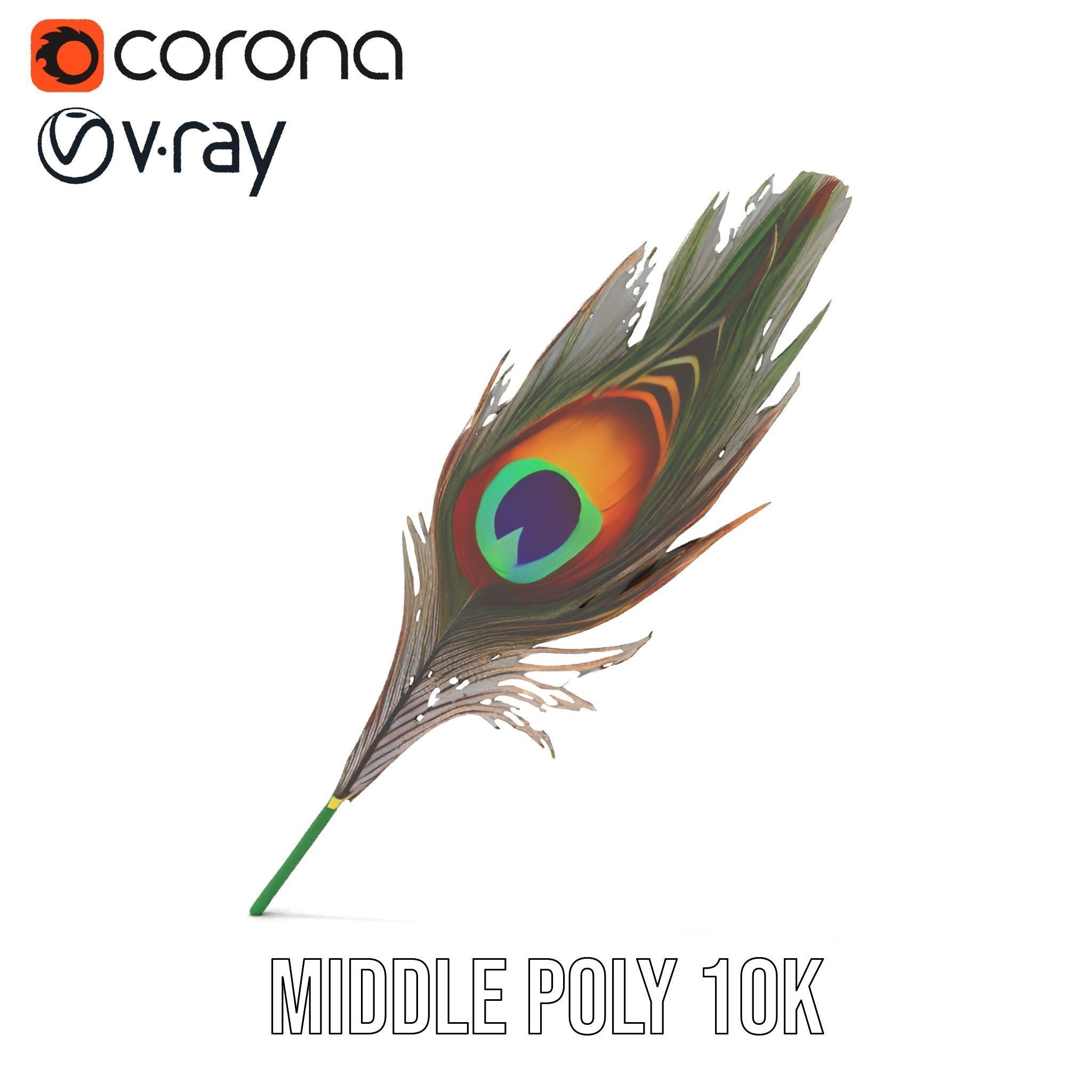 Peacock Feather Detailed Model Pack for Realistic Simulations Low-poly 3D model_5