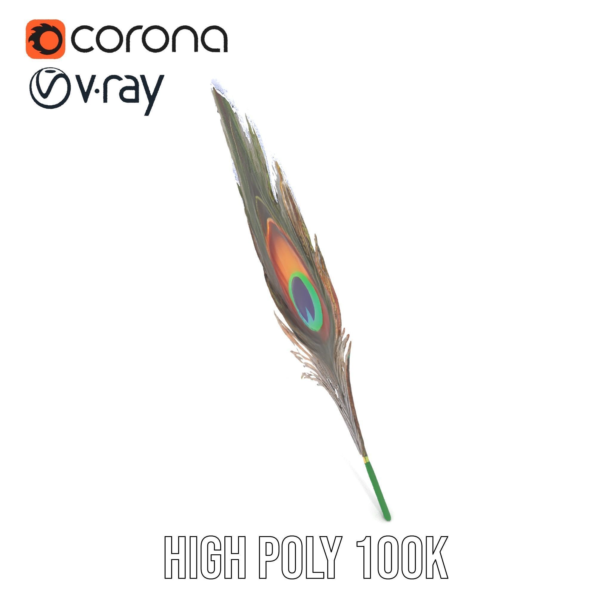 Peacock Feather Detailed Model Pack for Realistic Simulations Low-poly 3D model_25