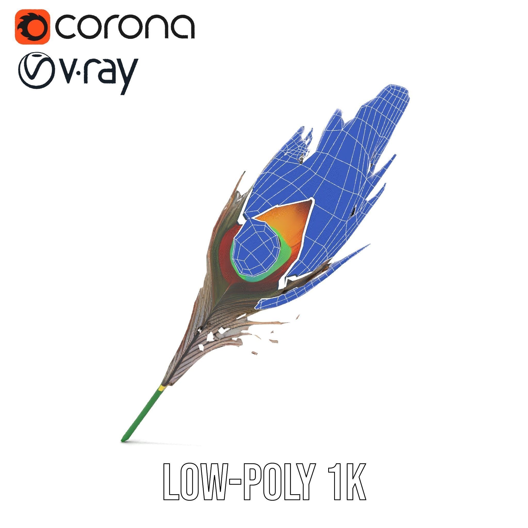 Peacock Feather Detailed Model Pack for Realistic Simulations Low-poly 3D model_30