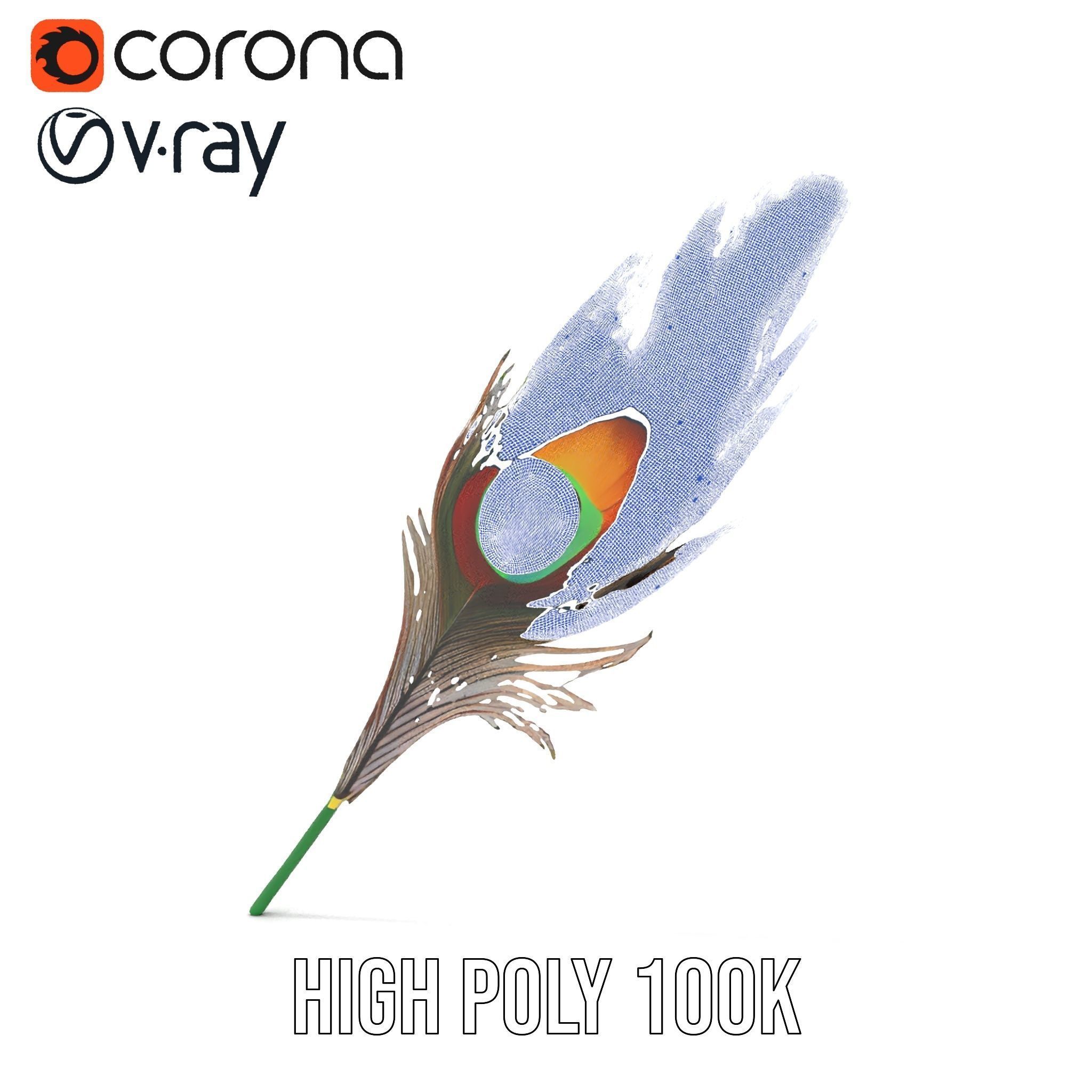 Peacock Feather Detailed Model Pack for Realistic Simulations Low-poly 3D model_33