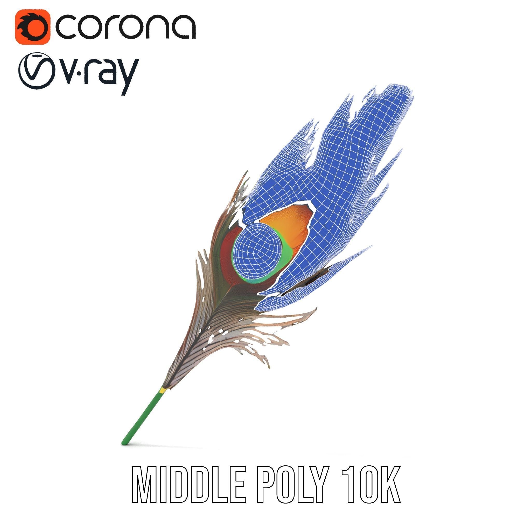 Peacock Feather Detailed Model Pack for Realistic Simulations Low-poly 3D model_23