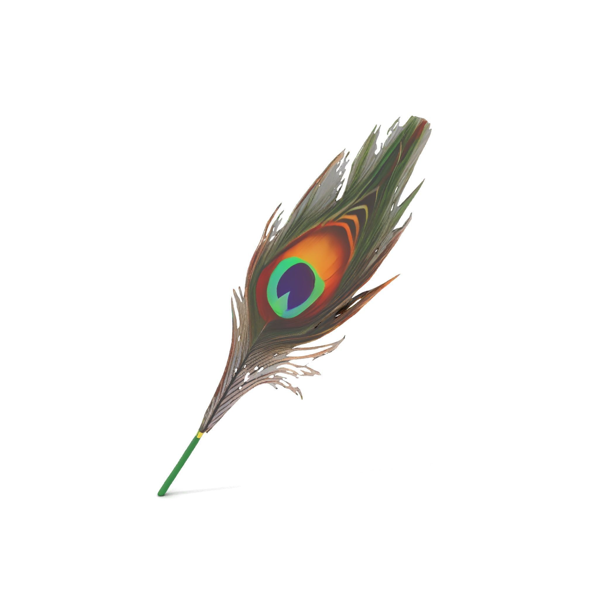 Peacock Feather Detailed Model Pack for Realistic Simulations Low-poly 3D model_13