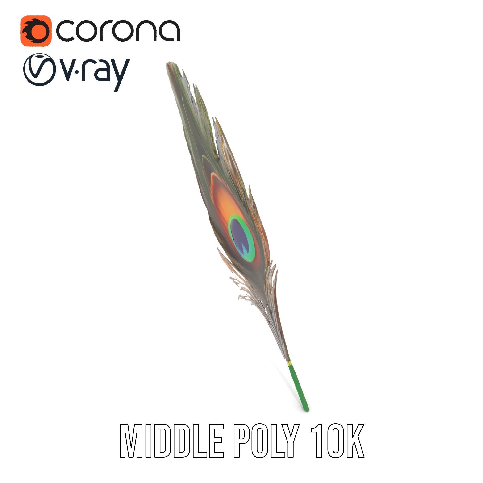 Peacock Feather Detailed Model Pack for Realistic Simulations Low-poly 3D model_6