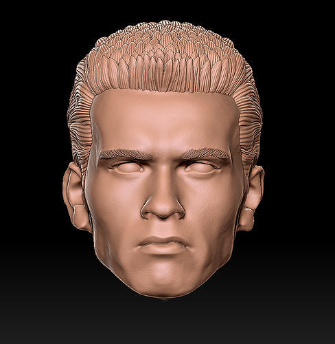 Arnold Schwarzenegger  3D print model