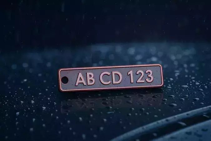 license plate keychain