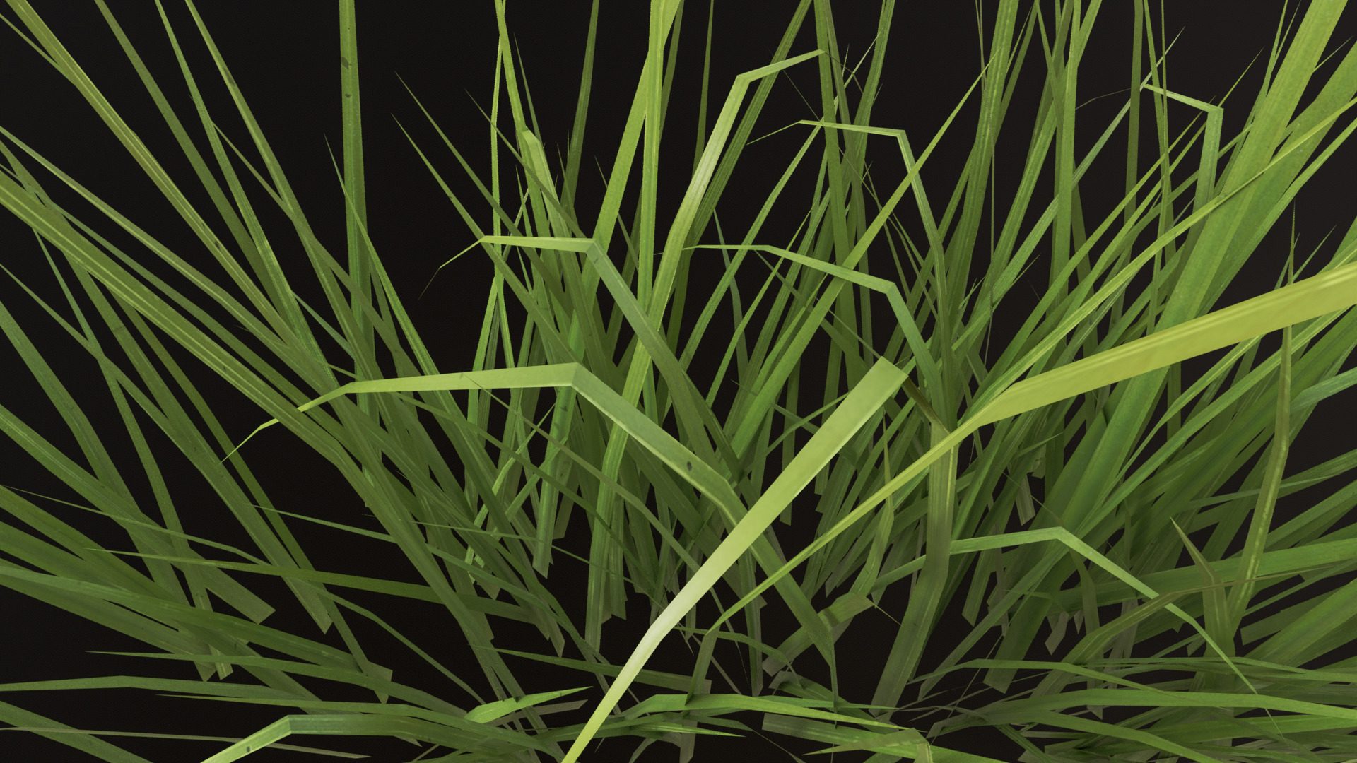 Grass Set 01 - 05 Low-poly 3D model_3