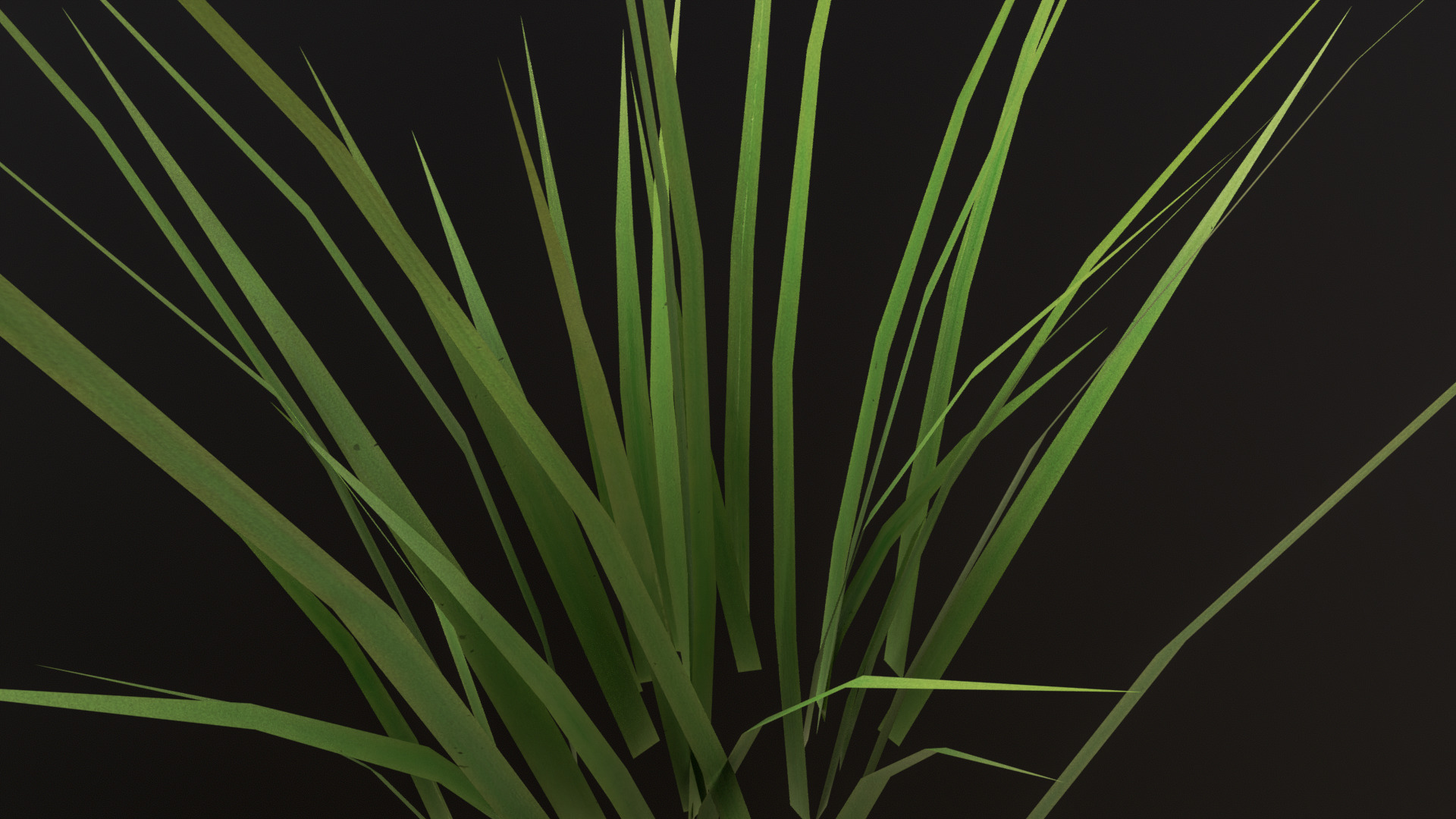 Grass Set 01 - 05 Low-poly 3D model_6
