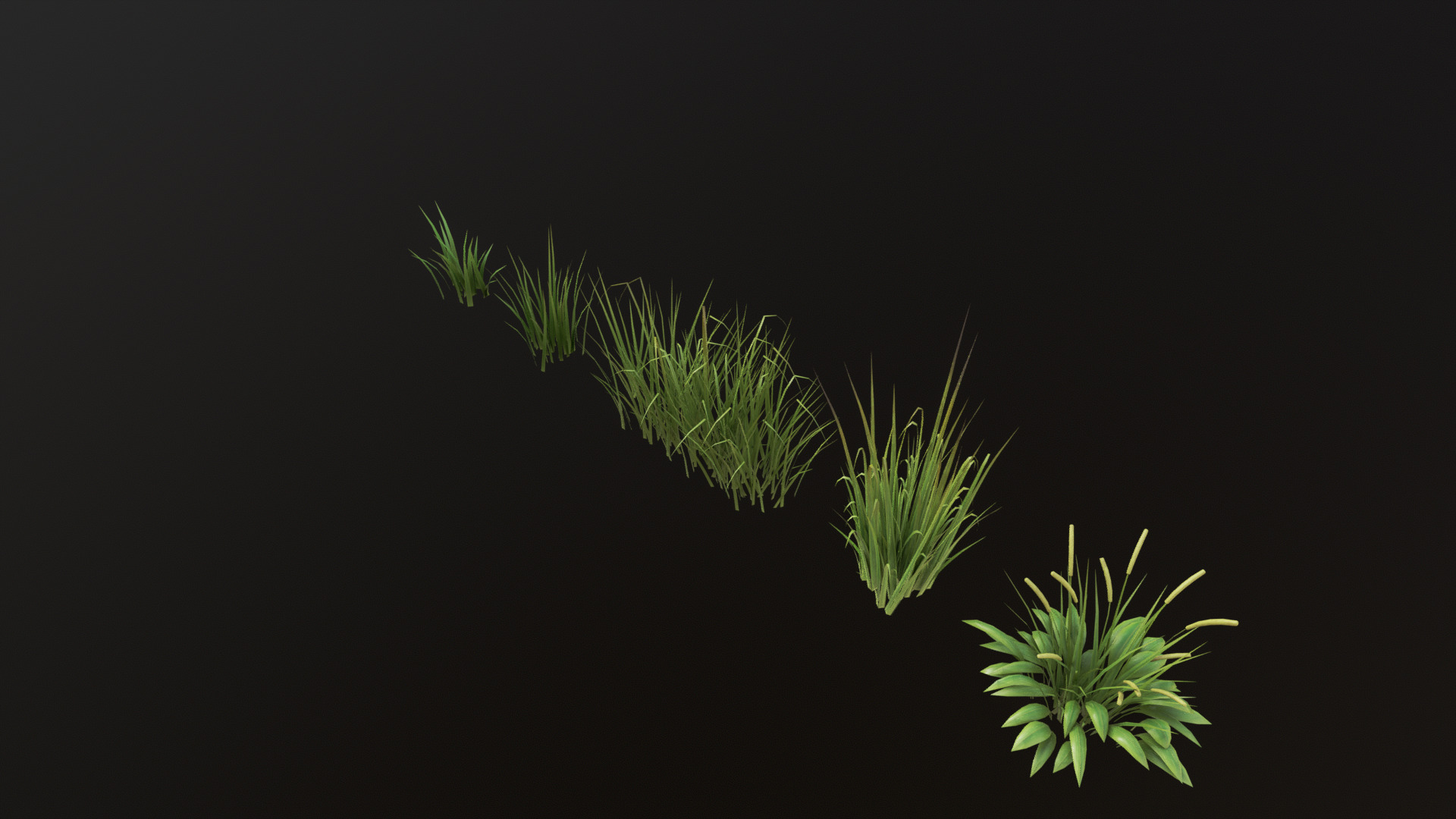 Grass Set 01 - 05 Low-poly 3D model_2