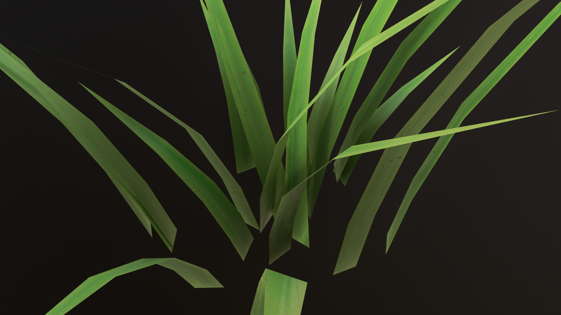 Grass Set 01 - 05 Low-poly 3D model_1