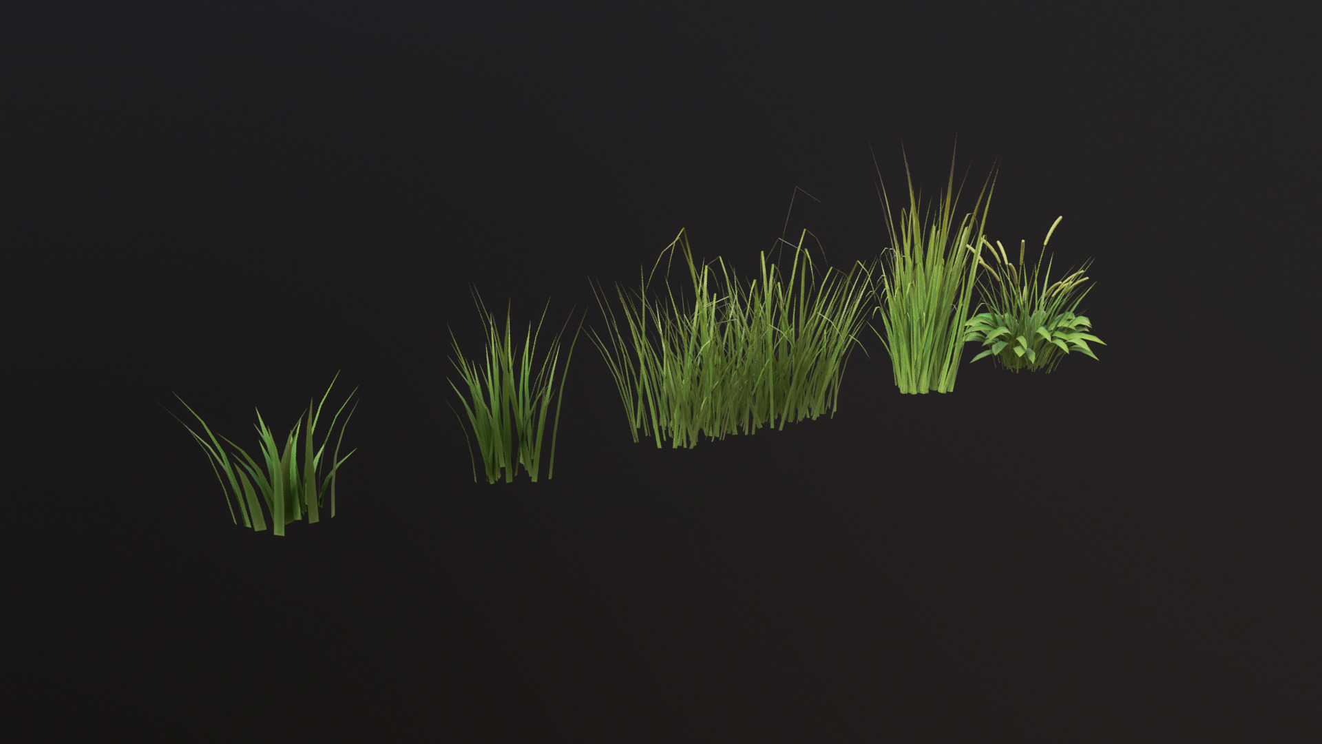 Grass Set 01 - 05 Low-poly 3D model_4