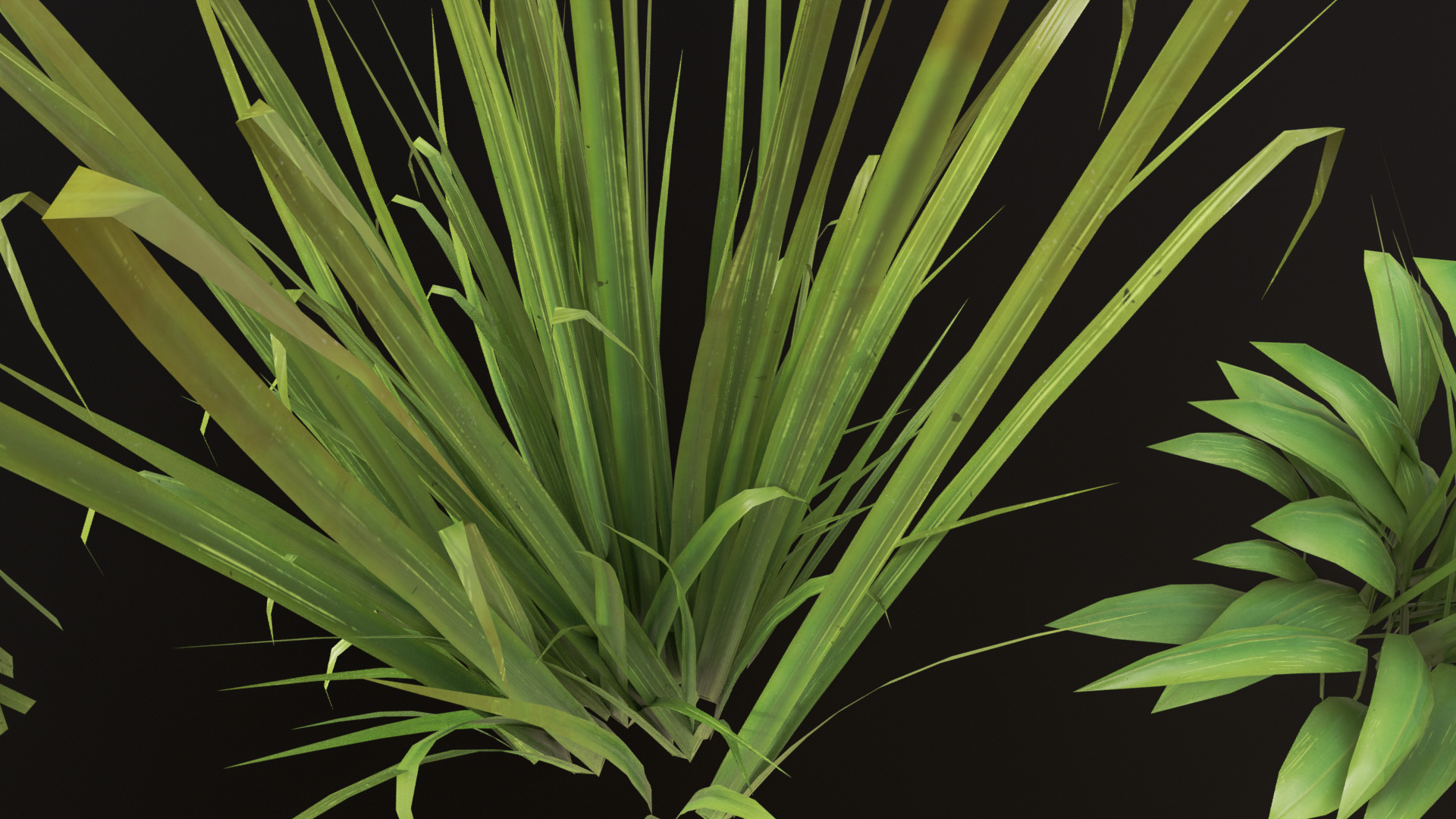 Grass Set 01 - 05 Low-poly 3D model_7