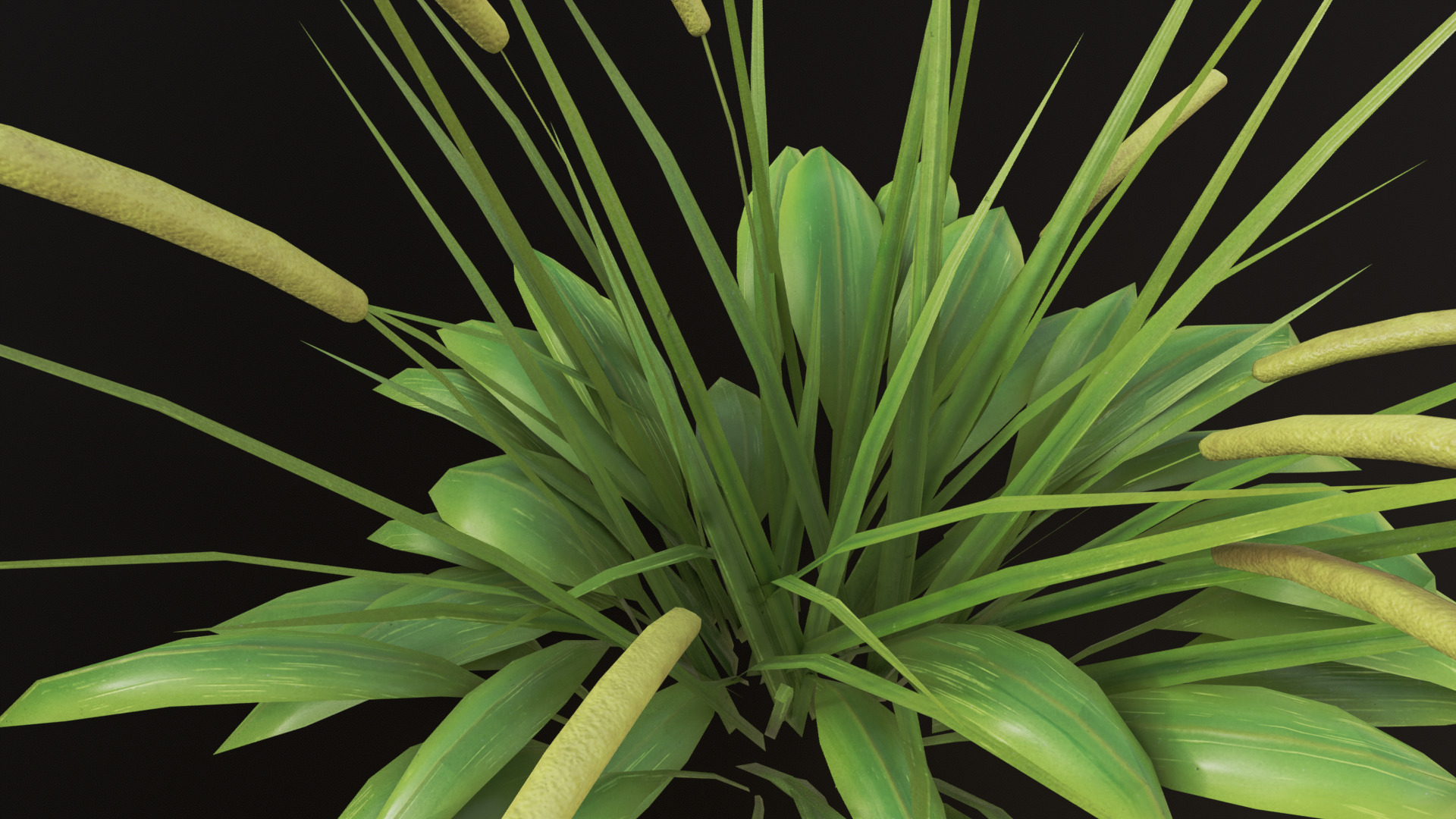 Grass Set 01 - 05 Low-poly 3D model_5