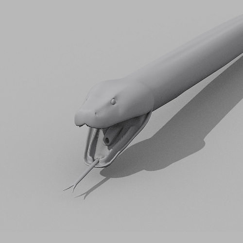 Burmese Python Snake shape model 3D model