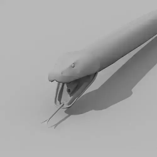 Burmese Python Snake shape model 3D model