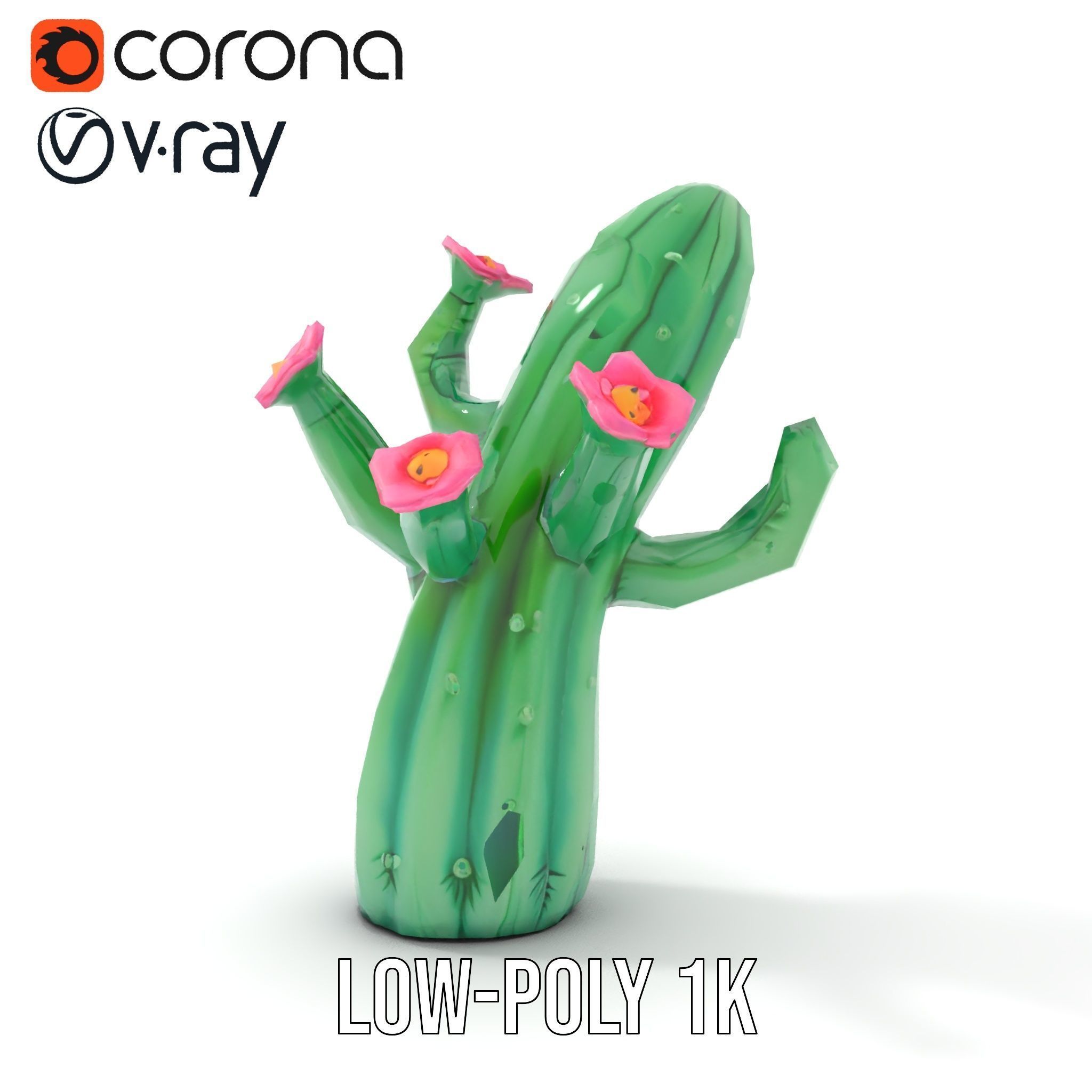 Inflatable Cactus with Flowers Model Pack Low-poly 3D model_11