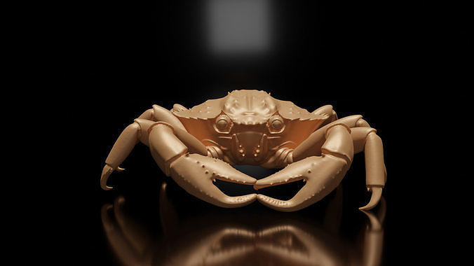 crab 3d model 3D print model