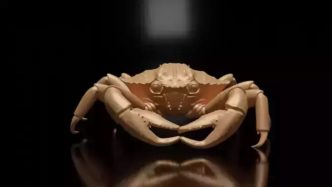 crab 3d model 3D print model