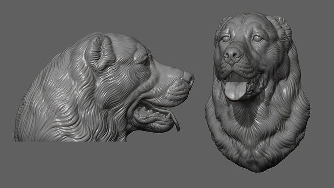 Central Asian Shepherd Dog Alabai bust 3D print model