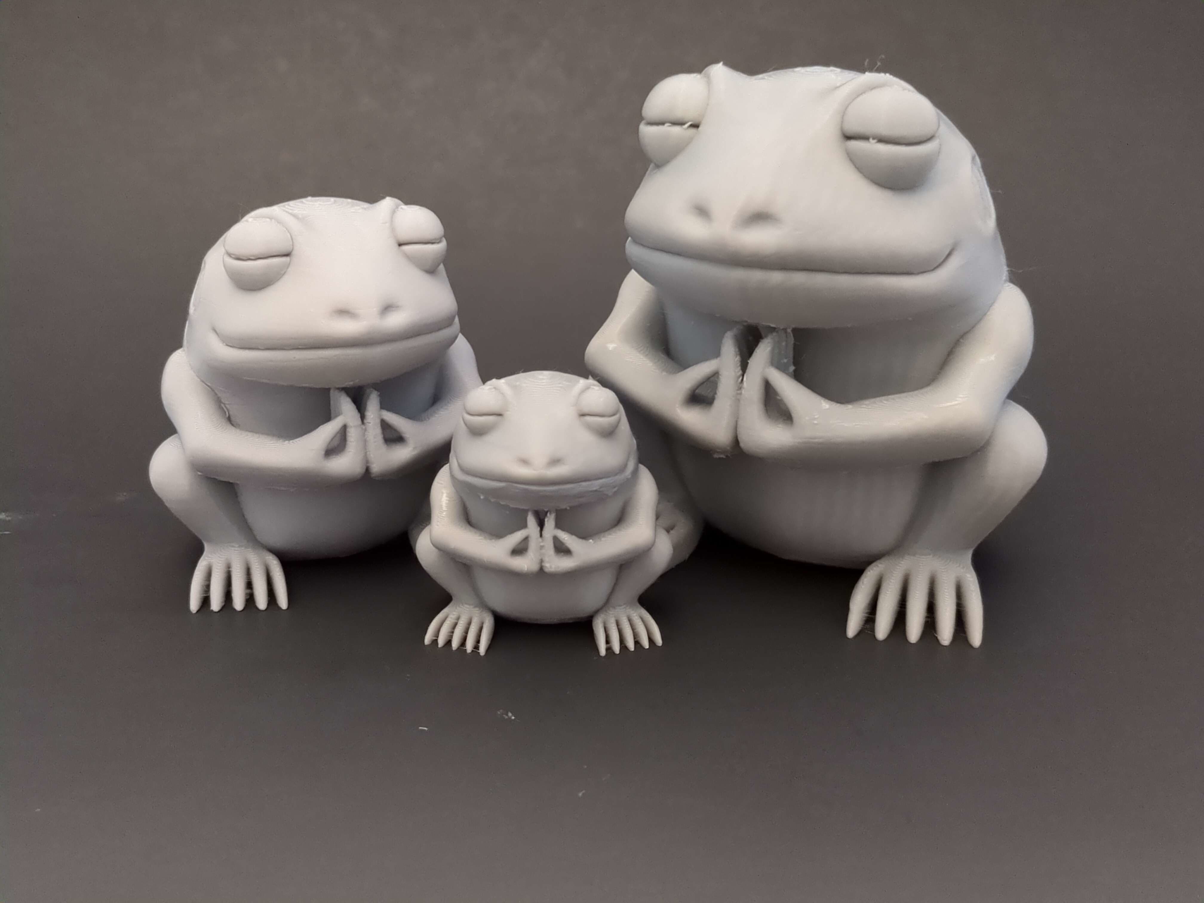 Toad Sage Statue Free 3D print model_3