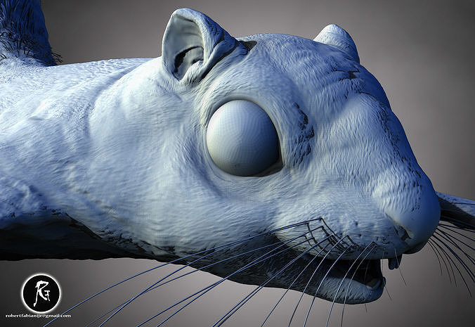Siberian Flying Squirrel The Glider of Northern Forests 3D print model