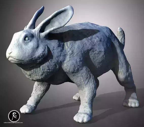 Rabbit The Swift and Gentle Forager