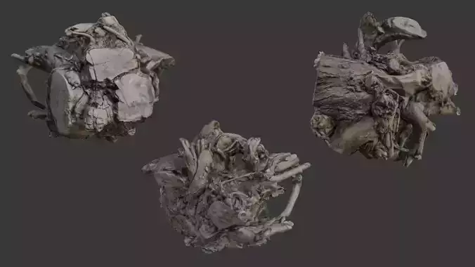 Gnarly Tree Stump Scan