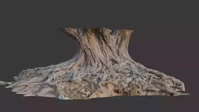 Large Tree Base Scan