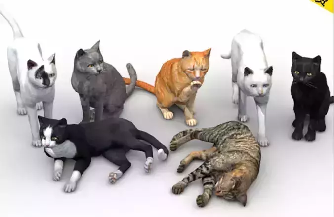 Realistic animals and poultry 3D model