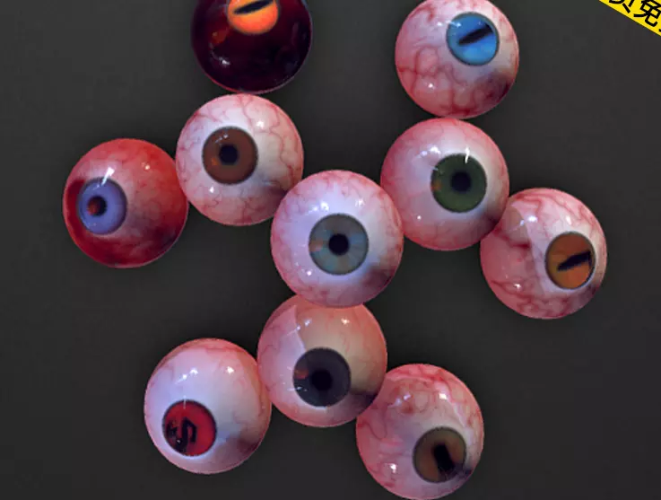 Human eyeball 3D model_0