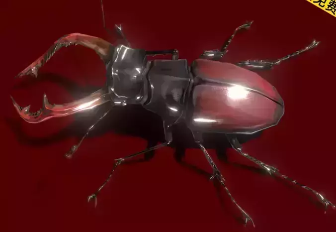 Red beetle animal