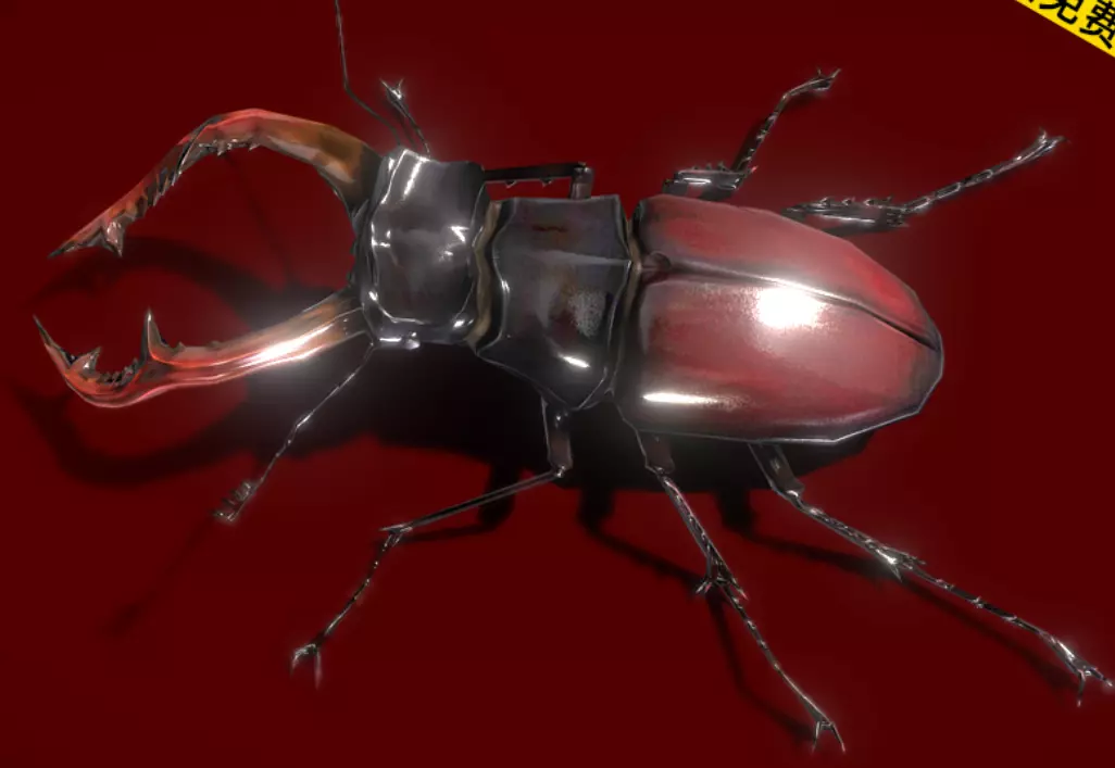Red beetle animal 3D model_0