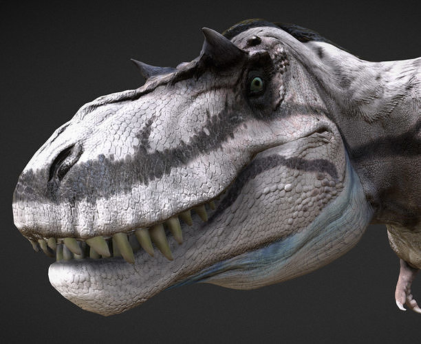 Albertosaurus The Swift Tyrant of the North Low-poly 3D model