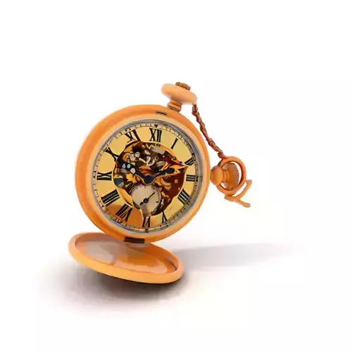 Elegant Vintage Pocket Watch Model Pack with Roman Numerals