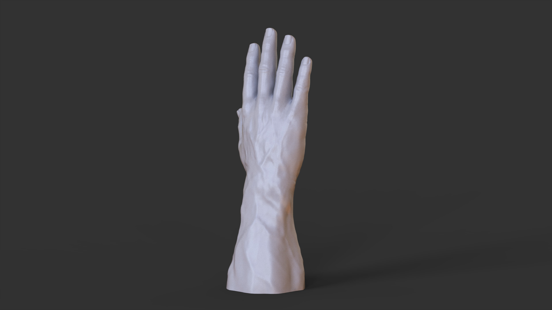 Male Hand Pose 3D print model_8