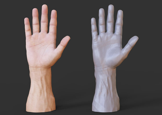 Male Hand Pose 3D print model