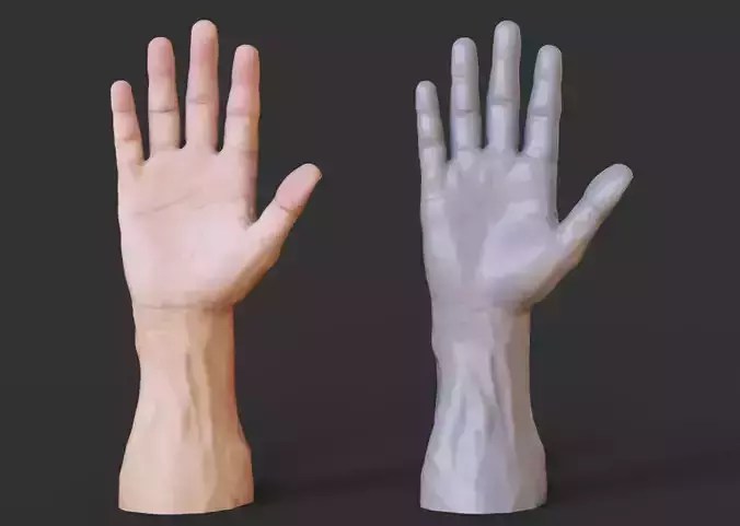 Male Hand Pose